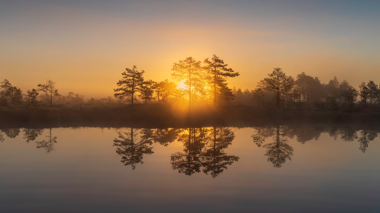 Home Capture the tranquil beauty of a sunrise reflecting over a misty bog lake, highlighting the serene reflections in calm waters.