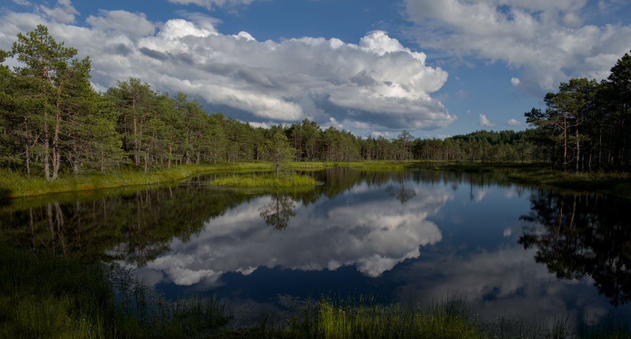 A serene forest lake reflecting white clouds, surrounded by lush greenery.